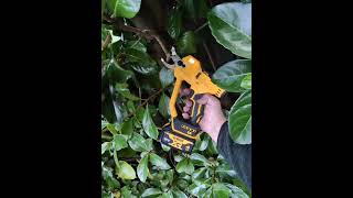 DEWALT 20V MAX Cordless Pruner China Copy $90 Any Good