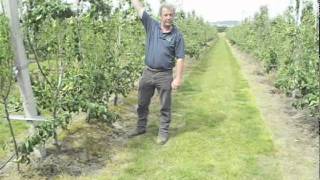 'Concept' Pear Orchard — FGNtv