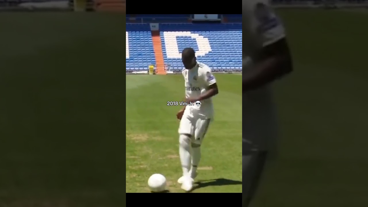 Vini's presentation 💀