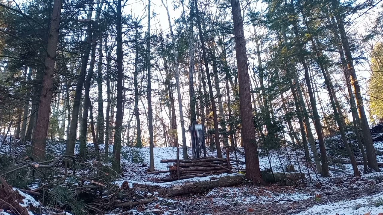 Alpine Bear's warm up #4