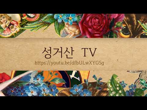 부산 명지 전어 축제 영심아 공연단 공연
