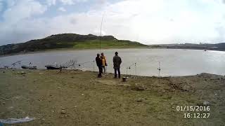 VURGAN CARP- BALIK AVI