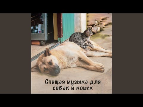 Elaris, Духовная Медитация Aкадемия - Дзен равновесия среди облаков