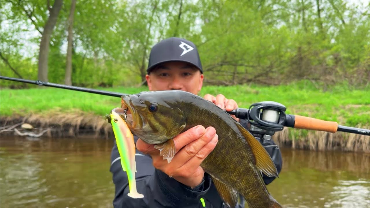 Smallmouth Bass Love Swimbaits! (Piscifun Alloy M2)