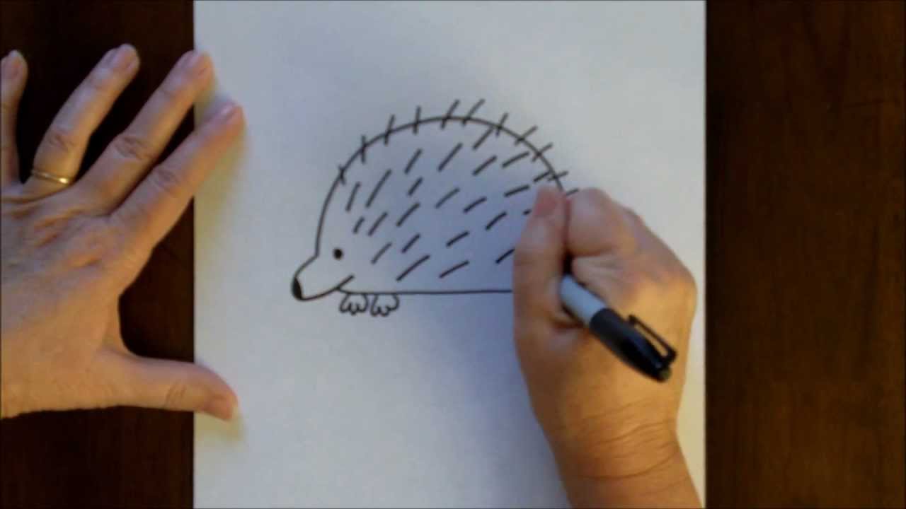 How to Draw a Cartoon Porcupine Simple Drawing Lesson for ...