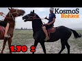 аттын КОСМОСУ Бишкектен чыкты 🐎ЖЭЭРДЕ БУДЁН