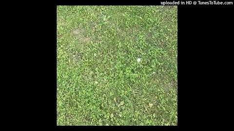 введите капчу-самый модный на цб(prod.surgeise)