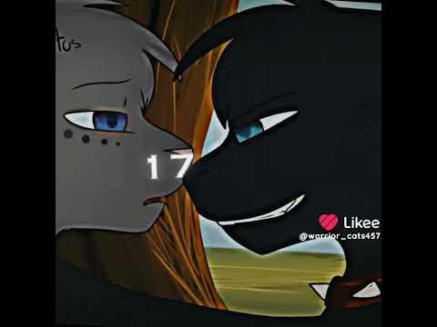 коты воители бич и кровоцапка - YouTube