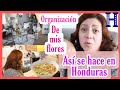 Organización de mis flores 💐, en Honduras así se hace,sabrosa sopa.