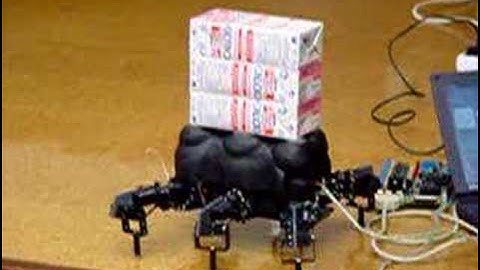 Melanie-II. Bricks de Leche Hispabot 2004