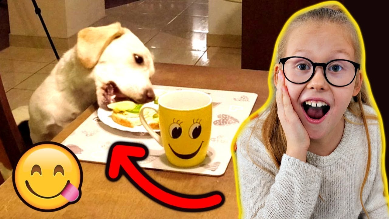 Hejka Tu Lenka Z Pieskami