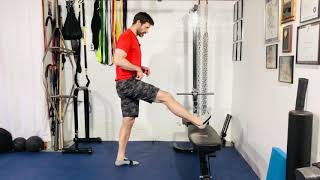Hamstring PAILs & RAILs