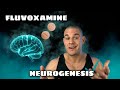 Increasing Neurogenesis With Fluvoxamine (OCD Game Changer)