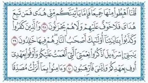 الشيخ قاسم شبلي سورة البقرة (1)