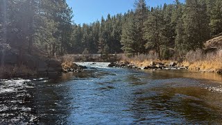 Winter Nymph Mission on the South Platte | Deckers, Colorado