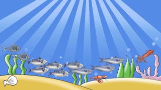 The Point: World Oceans Day 2021