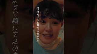 ひとみ（ドラマ『春になったら』Inspire Movie）#Short #福山雅治 #ひとみ#歌詞動画 #春になったら