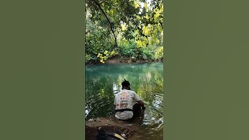 Petualangan Nembak Ikan Mangrove Jack di Sungai #shorts #travelvlog