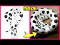 🐶 BLUEY MOVIE CHARACTERS AS SNAKES 🐍 + WHO SAID IT QUIZ &amp; THEIR FAVORITE DRINKS, SNACKS &amp; MORE!