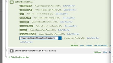 Integrating Qualtrics Embedded Data with Positly Query Strings