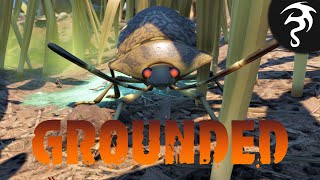Conquering the Stink Bug! - Ep9 - Grounded