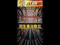 【衝撃】羽生九段100期挑戦失敗!26歳服部七段が藤井聡太と対戦へ
