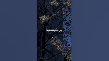 ﴿أليس الله بكاف عبده﴾ | سورة الزمر | الشيخ ياسر الدوسري