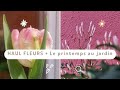 HAUL FLEURS C Est Le PRINTEMPS Au Jardin mp3