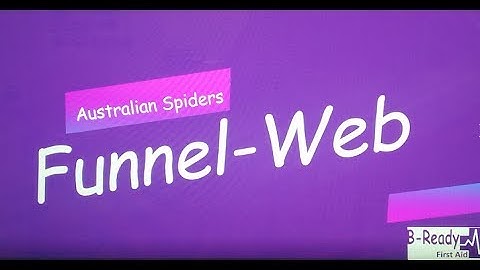 Funnel Web by B Ready First Aid