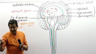 හයි කැපෑසිටි බයික් පදින කොල්ලන්ට පණිවිඩයක් | Tissa Jananayake with Life  (EP 119)