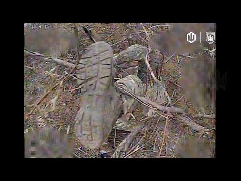 Track Last Photo Author The Bloger UA 414 Arr Birds Of The Magyar 