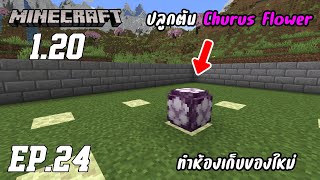 24 Minecraft 1.20 ปลูกต้น Churus Flower ทำห้องเก็บของใหม่