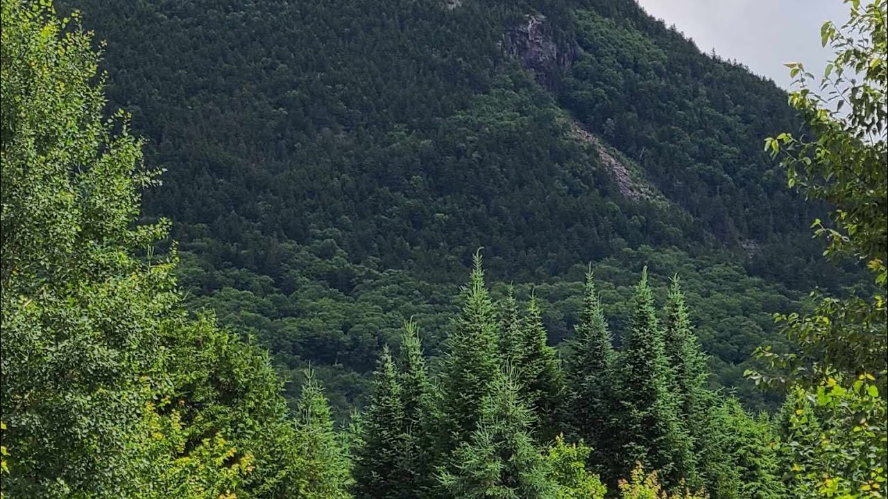 2023 Greenville atv ride!!! YouTube