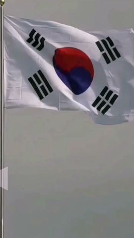 top 10 countries that hate south korea #shorts #video #viral