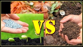 # TIS # 7 Perbedaan pupuk Organik dan Anorganik, What? Differences of Organic-Non Organic Fertilizer