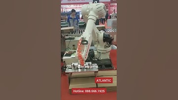 Robot xếp pallet