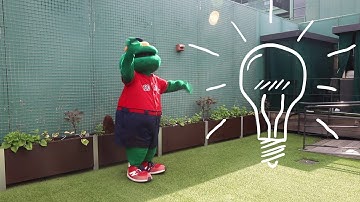 Code With Root | iRobot® STEM | iRobot®