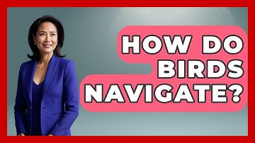 How Do Birds Navigate? - Exploring Campgrounds