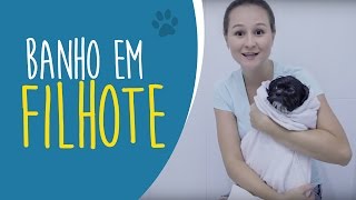 [AULA PRÁTICA] Como dar banho em cachorro FILHOTE na sua casa (Shih Tzu) [Ju Almeida Pet]