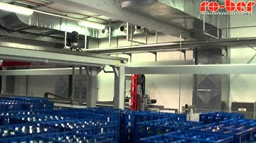 Automated Tote Store with Gantry Robot - RAUPACK