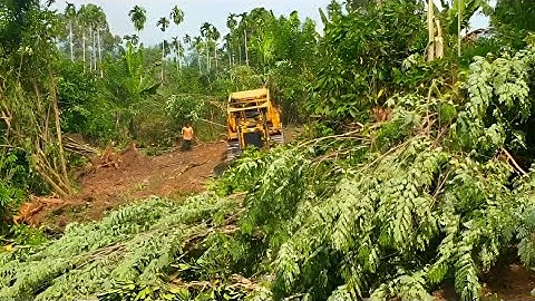 Fast Work of the CAT D6R XL Bulldozer With Stunning Land Clearing Techniques!