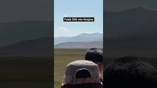 Felek dile min Neişine