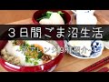 ごま沼アレンジ9種紹介!【3日間ごま沼生活 前編】シャイニー薊さんの減量食「沼」をアレンジ!ダイエット食材のオートミール使った【進化したスーパーごま沼】日々のサプリメント紹介#StayHome