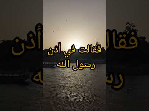 الشيخ كشك متعيبش علي حد 