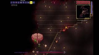 Annihilating Brain of Cthulhu with spiky ball(Terraria)