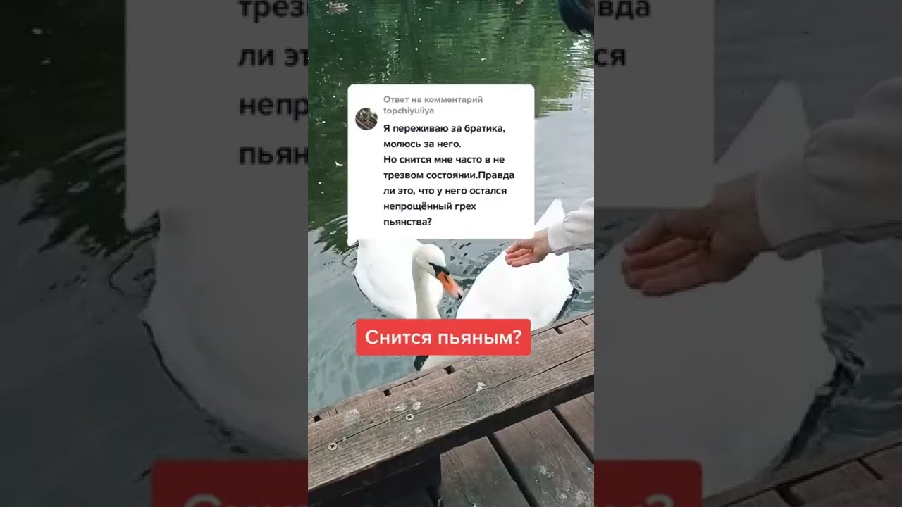 Во Сне Покойный Муж Голый