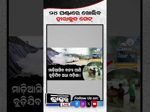 ୨୪ ଘଣ୍ଟାରେ ଖୋଲିବ ହୀରାକୁଦ ଗେଟ୍‌... #ytshorts #shortsvideo #Sambalpur #HirakudDam #FloodAlert