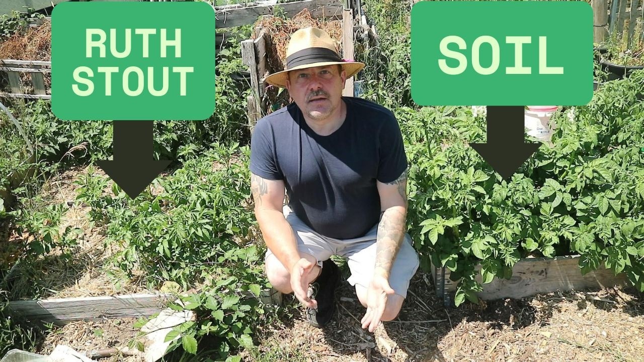 Ruth Stout V Soil Grown Potatoes SHOCKING Result