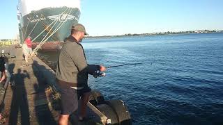 Fishing in Fredericia 30.06.2018