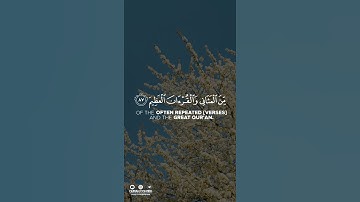 تلاوة هادئة تريح الاعصاب هزاع البلوشي 🍃.||